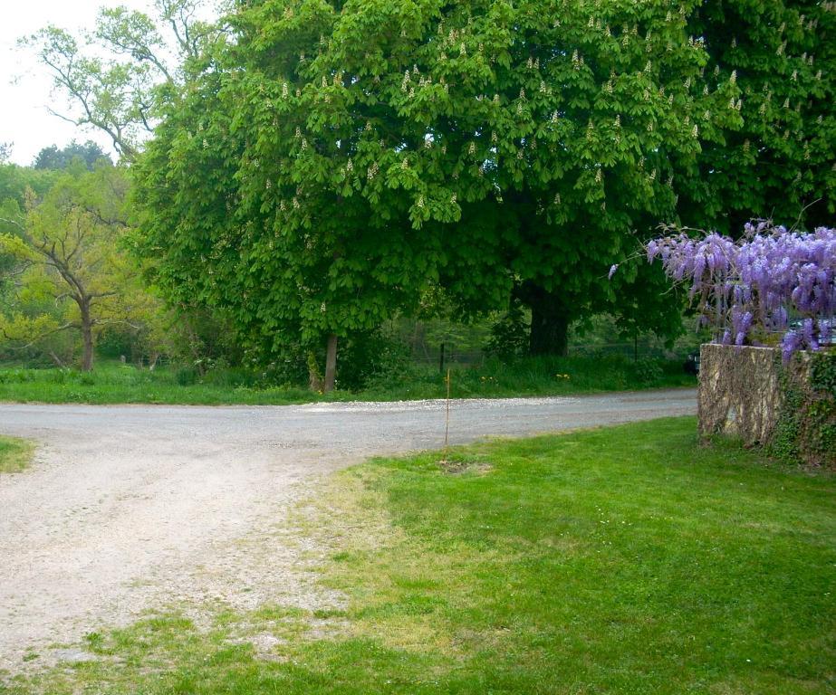 Sous Les Marronniers Bed and Breakfast Petit-Palais-et-Cornemps Εξωτερικό φωτογραφία